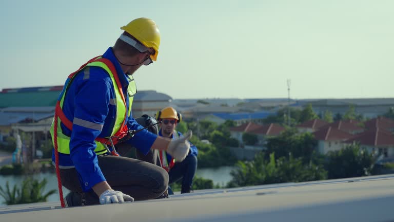 Best Chimney Flashing Repair  in Sebastopol, CA