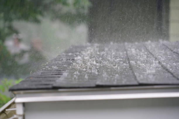 Best 4 Ply Roofing  in Sebastopol, CA