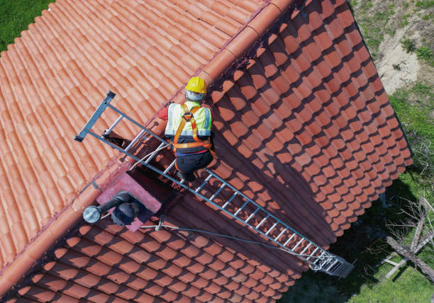 Best Asphalt Shingle Roofing  in Sebastopol, CA